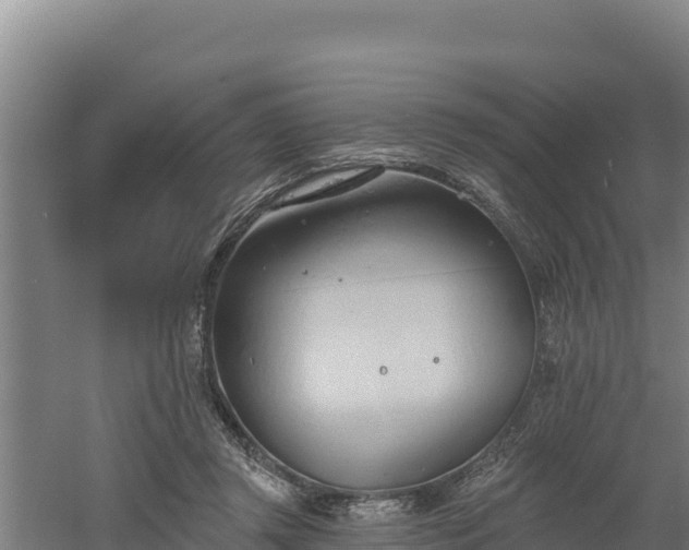 X0000060560357200511101609