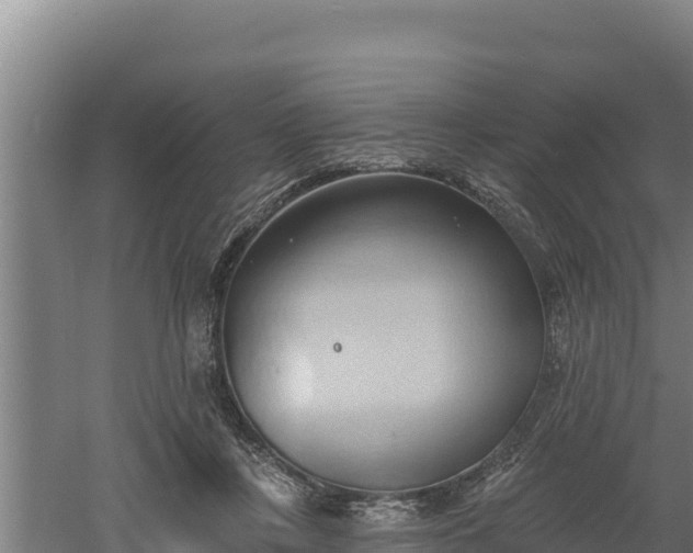 X0000060560359200511101609