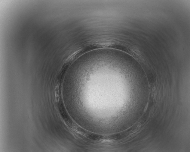 X0000060560360200511101609