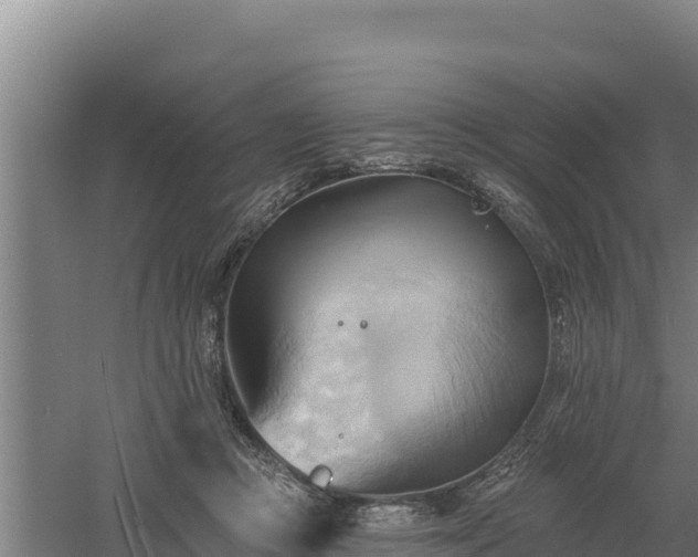 X0000060560361200511101609