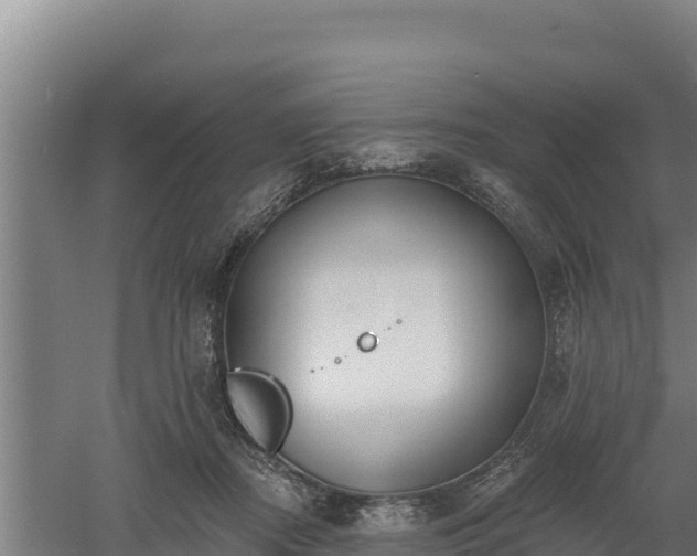 X0000060560362200511101609