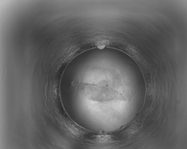 X0000060560363200511101609