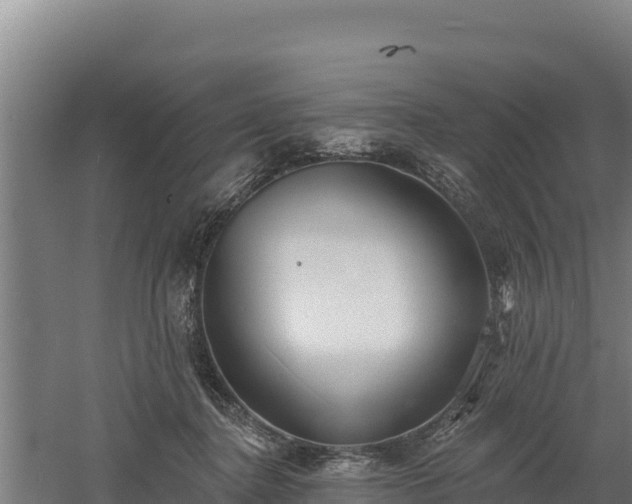 X0000060560364200511101609