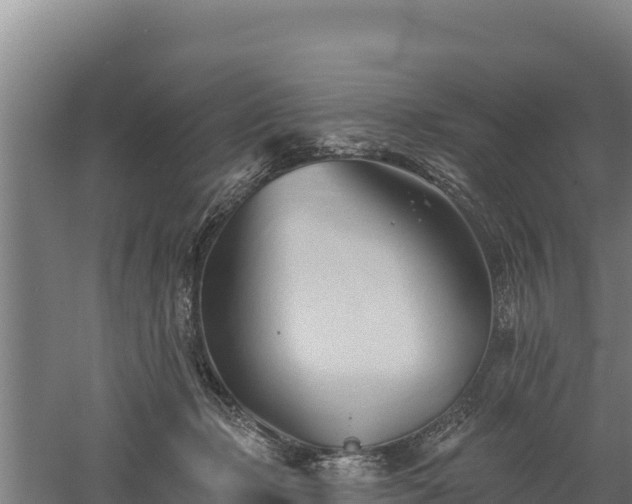 X0000060560365200511101609