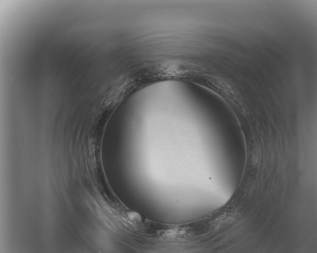 X0000060560366200511101609