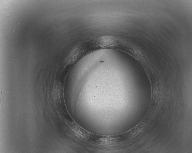 X0000060560367200511101609