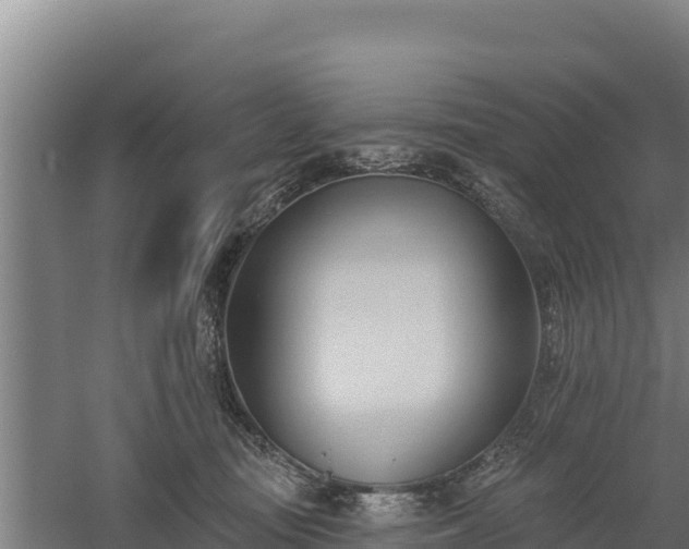 X0000060560371200511101609