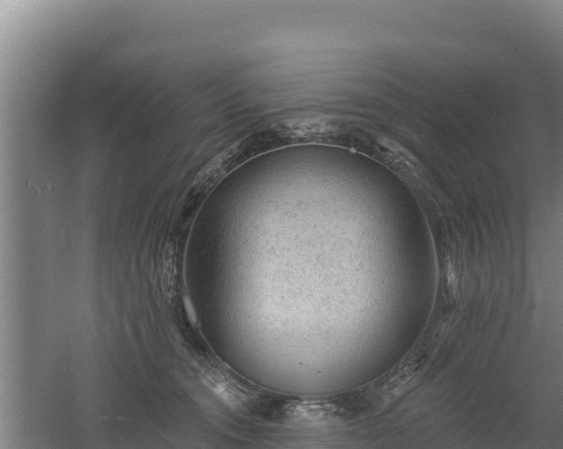 X0000060560372200511101610