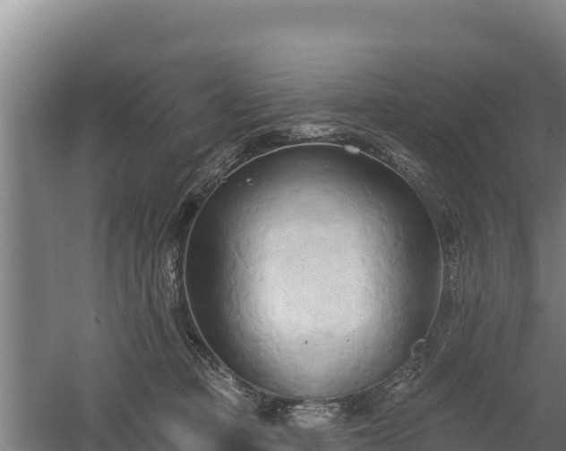 X0000060560373200511101610