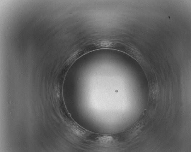 X0000060560374200511101610