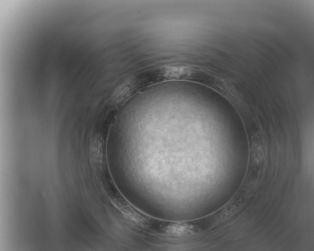 X0000060560375200511101610