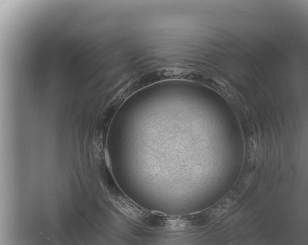 X0000060560376200511101610