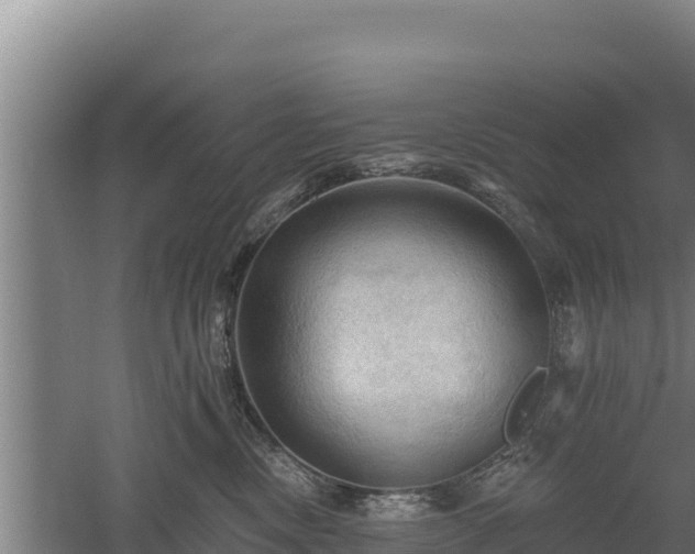 X0000060560378200511101610