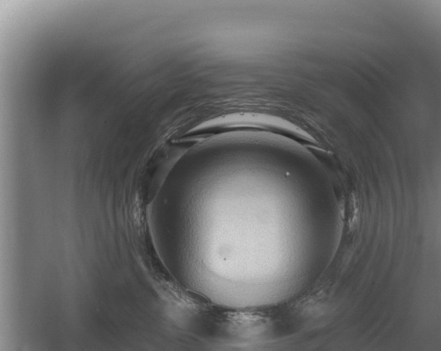 X0000060560380200511101610