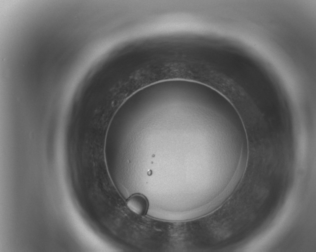 X0000060560382200511101610