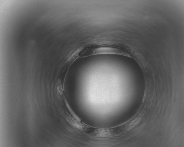 X0000060560384200511101610