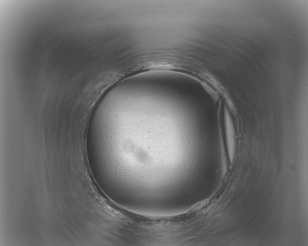 X0000060560385200511101609