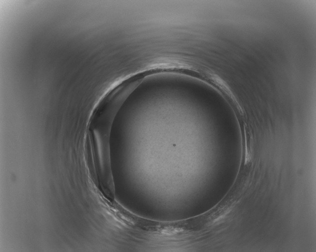 X0000060560387200511101609