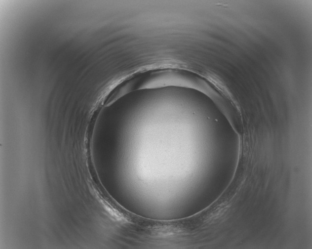 X0000060560389200511101609