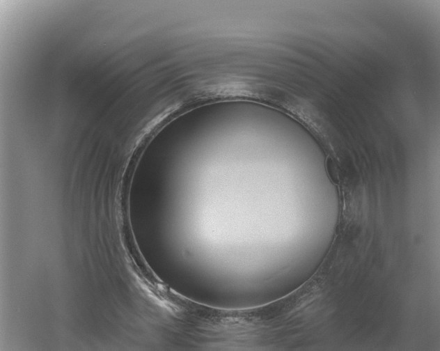 X0000060560390200511101609