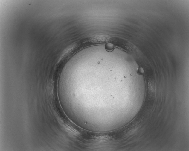 X0000060560396200511101609