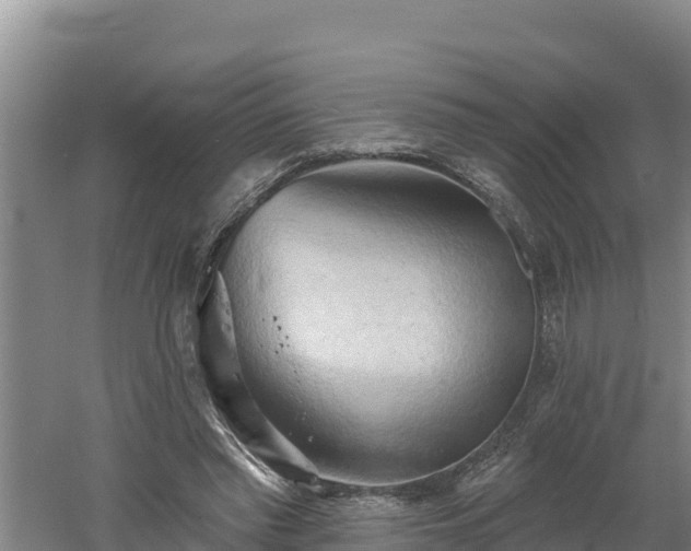 X0000060560397200511101609