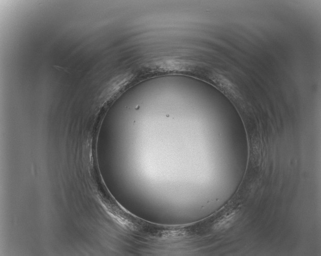 X0000060560398200511101609