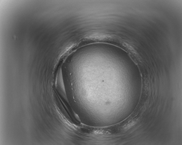 X0000060560399200511101609