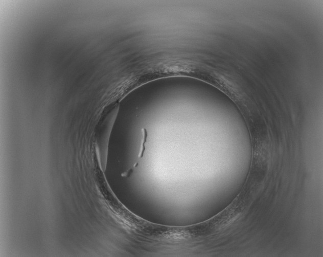 X0000060560402200511101609