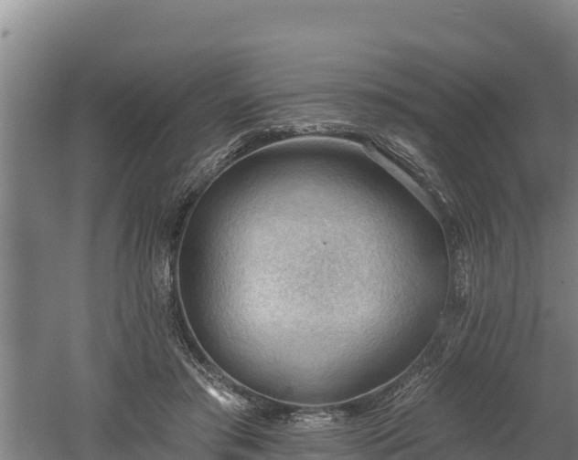 X0000060560405200511101609