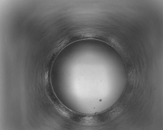 X0000060560406200511101609