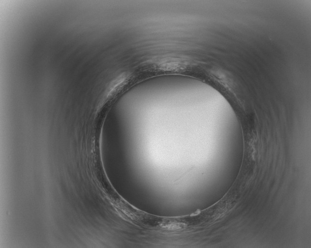 X0000060560407200511101609