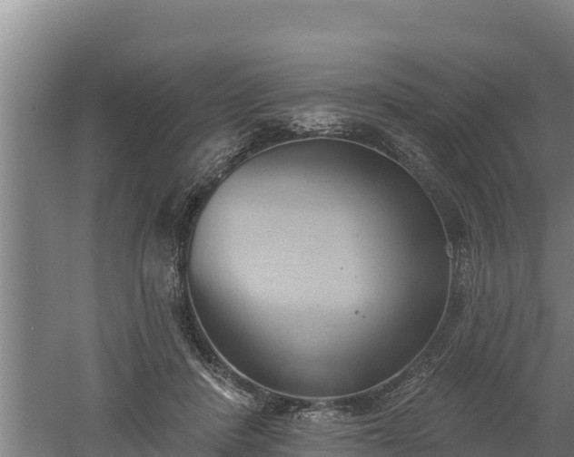 X0000060560408200511101609