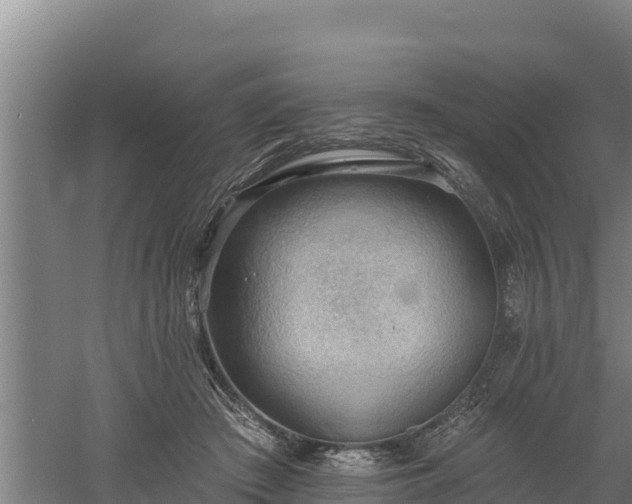 X0000060560409200511101608