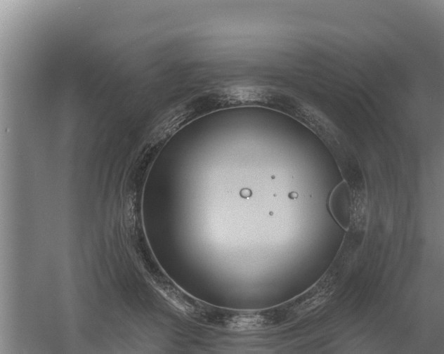 X0000060560410200511101608