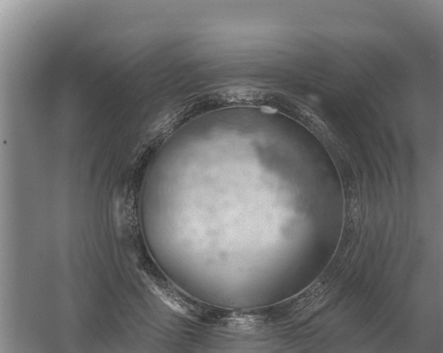 X0000060560411200511101608