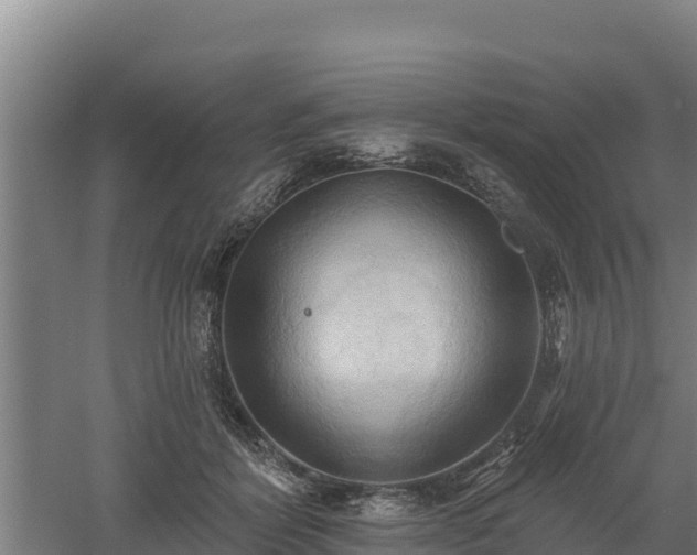 X0000060560412200511101608