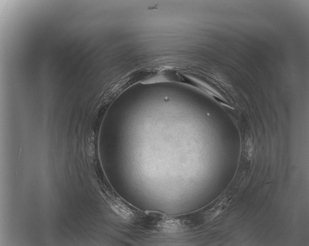 X0000060560413200511101608