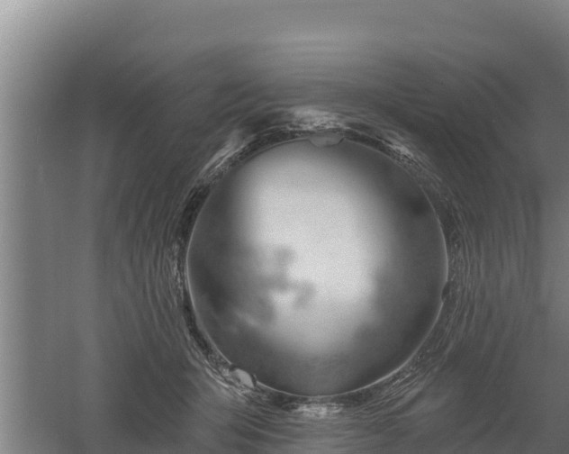 X0000060560415200511101608