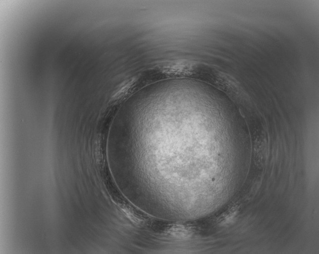 X0000060560416200511101608