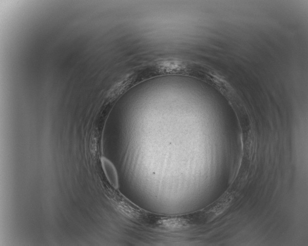 X0000060560417200511101608