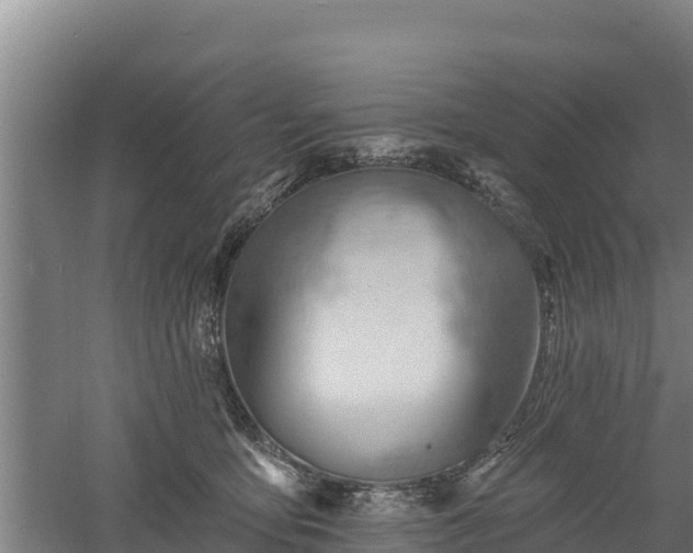 X0000060560419200511101608