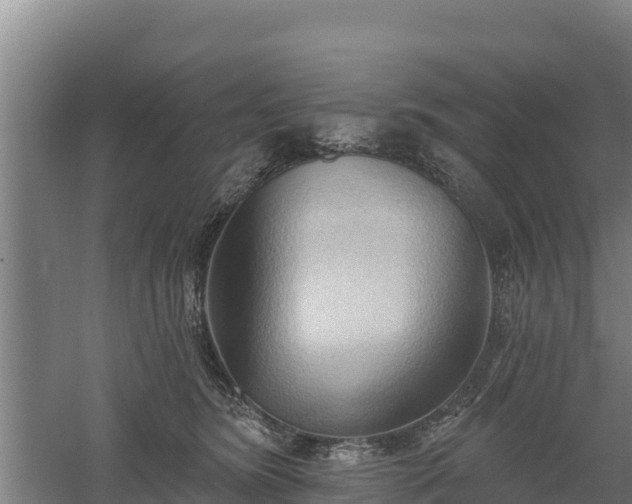 X0000060560420200511101608