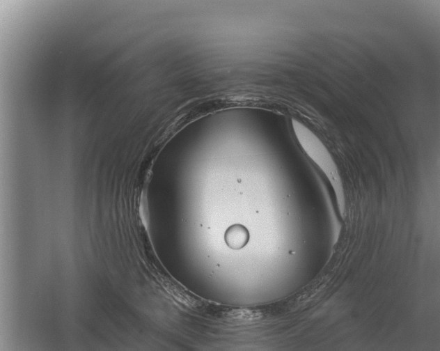 X0000060560421200511101608