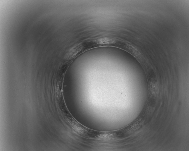 X0000060560422200511101608