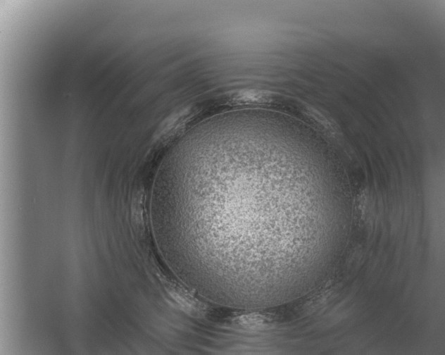 X0000060560423200511101608