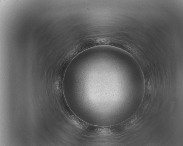 X0000060560424200511101608