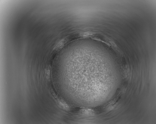 X0000060560427200511101608