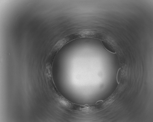 X0000060560430200511101608