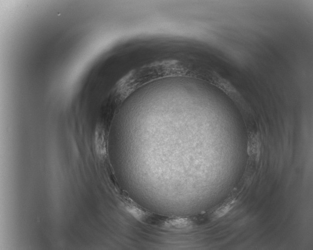 X0000060560431200511101608